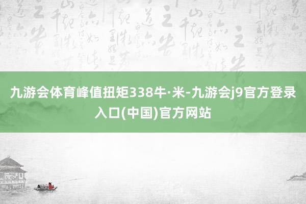 九游会体育峰值扭矩338牛·米-九游会j9官方登录入口(中国)官方网站