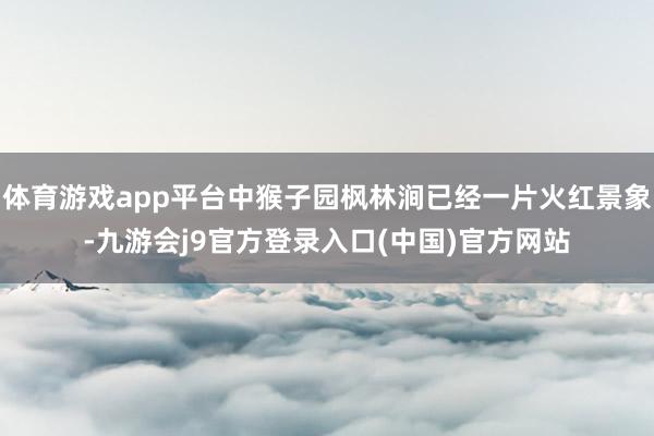 体育游戏app平台中猴子园枫林涧已经一片火红景象-九游会j9官方登录入口(中国)官方网站