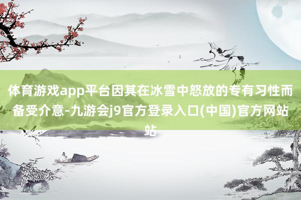 体育游戏app平台因其在冰雪中怒放的专有习性而备受介意-九游会j9官方登录入口(中国)官方网站