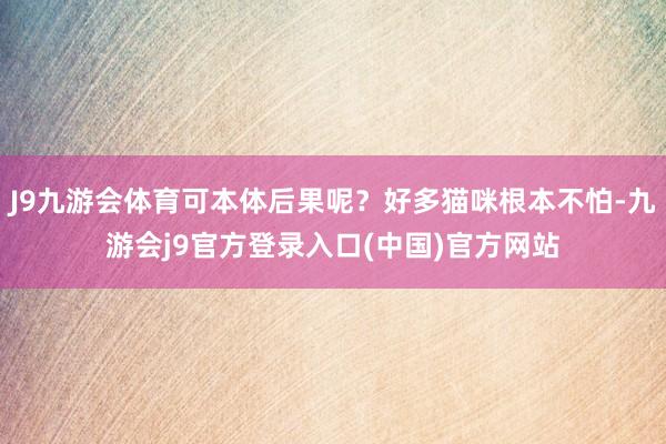J9九游会体育可本体后果呢？好多猫咪根本不怕-九游会j9官方登录入口(中国)官方网站