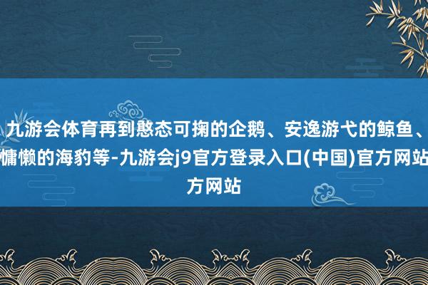 九游会体育再到憨态可掬的企鹅、安逸游弋的鲸鱼、慵懒的海豹等-九游会j9官方登录入口(中国)官方网站
