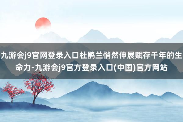 九游会j9官网登录入口杜鹃兰悄然伸展赋存千年的生命力-九游会j9官方登录入口(中国)官方网站