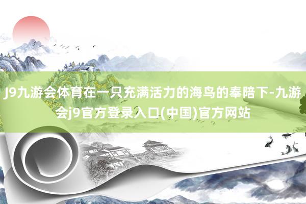 J9九游会体育在一只充满活力的海鸟的奉陪下-九游会j9官方登录入口(中国)官方网站