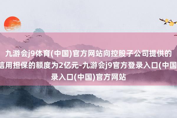 九游会j9体育(中国)官方网站向控股子公司提供的诉讼保全信用担保的额度为2亿元-九游会j9官方登录入口(中国)官方网站