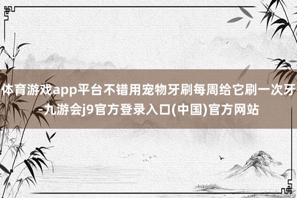 体育游戏app平台不错用宠物牙刷每周给它刷一次牙-九游会j9官方登录入口(中国)官方网站