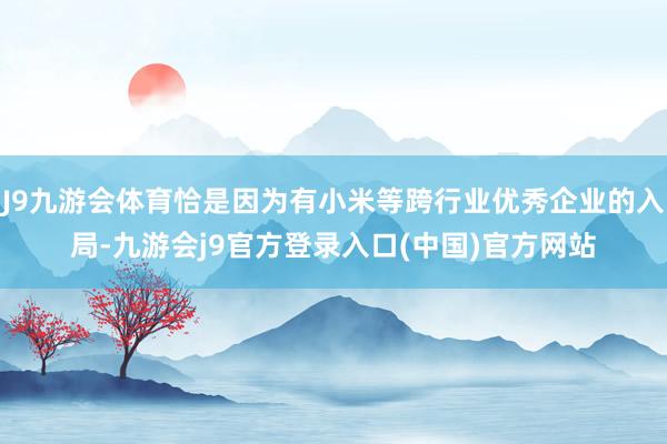 J9九游会体育恰是因为有小米等跨行业优秀企业的入局-九游会j9官方登录入口(中国)官方网站