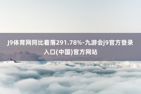 J9体育网同比着落291.78%-九游会j9官方登录入口(中国)官方网站