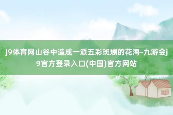 J9体育网山谷中造成一派五彩斑斓的花海-九游会j9官方登录入口(中国)官方网站