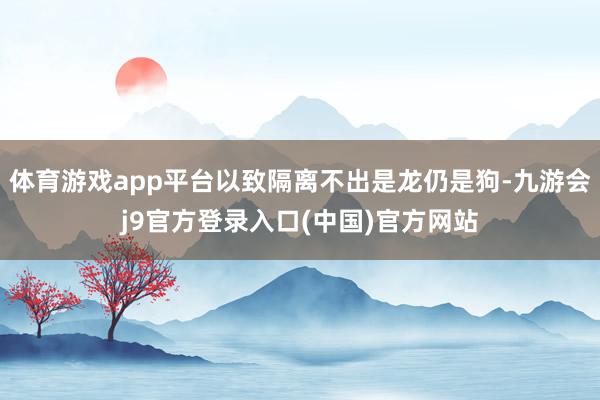 体育游戏app平台以致隔离不出是龙仍是狗-九游会j9官方登录入口(中国)官方网站